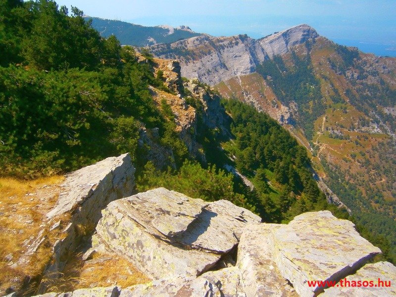 Az öreg falu, a vén platán és a folyók meséje